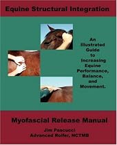 Equine Structural Integration: Myofascial Release Manual