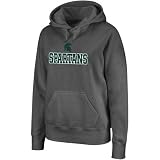 Michigan State Spartans Ladies Charcoal Deep Impact Pullover Hoodie Sweatshirt (Large)