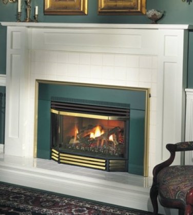 Gas Fireplace Insert Gas Fireplace Insert