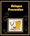 Relapse Prevention Relapse Prevention