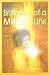 Brilliance of a Million Suns RS.140.00