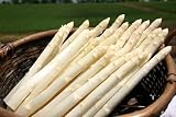 美瑛産朝もぎホワイトアスパラガス　M~L混合　1kg 美瑛