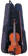 Palatino Dolce Viola Outfit, Satin Finish, 15in.