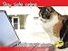 Stay Safe Online Education Art Poster Print, 24x18