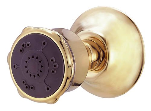 Buy Multifunction Wall mount body spray D460160-PBV (Danze Showers, Plumbing, Bathtubs Showers & Saunas, Showers, Modules & Installation Kits)