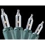 Set of 100 Clear Everglow Mini Christmas Lights With Green Wire