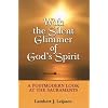 With the Silent Glimmer of God's Spirit: A Postmodern Look at the Sacraments