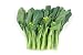 Chinese Vegetable: Choy Sum - 18