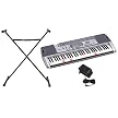 Casio 61-LKey Full-Size Lighted Keyboard - LK100STADV