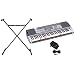 Casio 61-LKey Full-Size Lighted Keyboard - LK100STADV