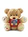 Fisher-Price Learn and Sing Teddy