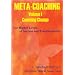 Meta-Coaching: V. 1: For Higher Levels of Success and Transformation