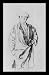 persian49  - Antoine Watteau Standing Persians Black WoodMounted Art Poster