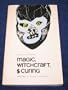 Magic, Witchcraft, and Curing (American Museum Sourcebooks in Anthropology.)