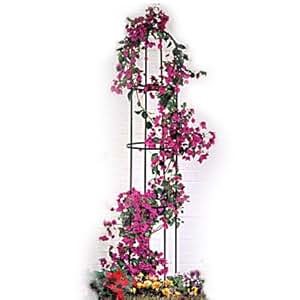 Relaxdays 2 Stück Rankhilfe aus Metall rund je 2 m hoch - Rankengitter