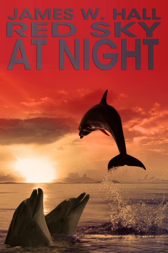 Red Sky At Night (Thorn Series Book 6)