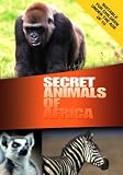 Wildlife - Secret Animals Of Africa