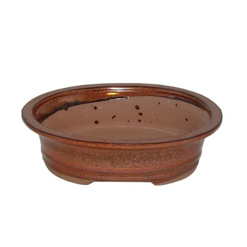 21cm Brown Oval Glazed Bonsai Pot