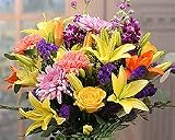 Cosmopolitan Bouquet