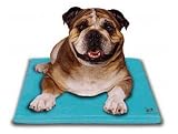 Canine Cooler Thermoregulating Pet Bed (Small)