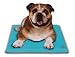 Canine Cooler Thermoregulating Pet Bed (Small)