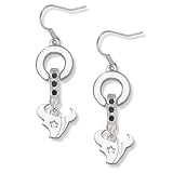 NFL Houston Texans LogoArt MVP Earrings