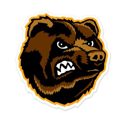 Boston Bruins NHL car bumper sticker decal (5