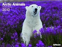 2010 Arctic Animals Super Poster Calendar horizontal