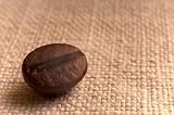 Coffee-grain - 36