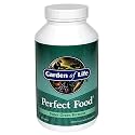 Garden of Life Perfect Food Super Green Formula, Caplets, 300-Count Bottle
