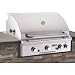 Search : American Outdoor Grill 30 Inch Built-in Natural Gas Grill