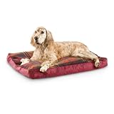 Coleman Pet Bed