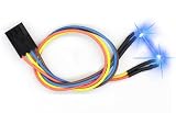 Paintball Virtue Halo Laser Eye - Blue