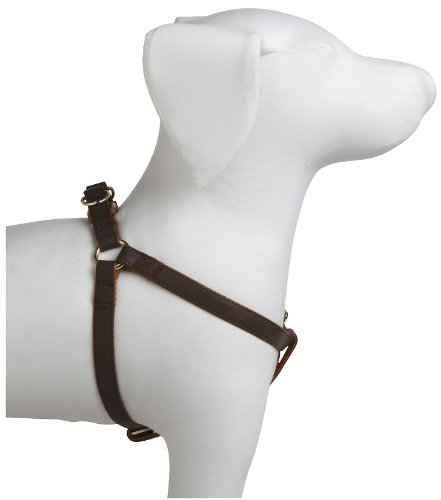 akc dog harness