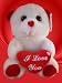 I Love You Valentine Bear