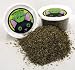 Kitchen & Housewares : Crazy Kitty Catnip (1.5 oz)