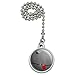 GRAPHICS & MORE African Grey Parrot Bird Pet Ceiling Fan and Light Pull Chain