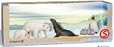 Arctic Animals Boxed Set