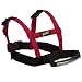 Grip your child to help your child to learn while feeling content and safe in your hands
A confidence boster when learning to ski or snowboarding plus its easy to pick them up when they have a little tumble! 
Adjustable Suitable for age 2 - 8