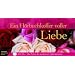 Ein H�rbuchkoffer voller Liebe: Perlen der modernen Liebesliteratur. 20 CDs