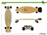 LOADEDBOARDS FISH LONGBOARD SKATEBOARD COMPLETE