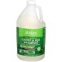 Biokleen Carpet & Rug Shampoo Concentrate (64oz Case of 6)