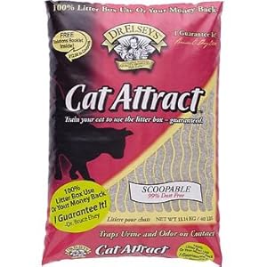 Precious Cat Cat Attract Problem Cat Training Litter, 40 pound bag