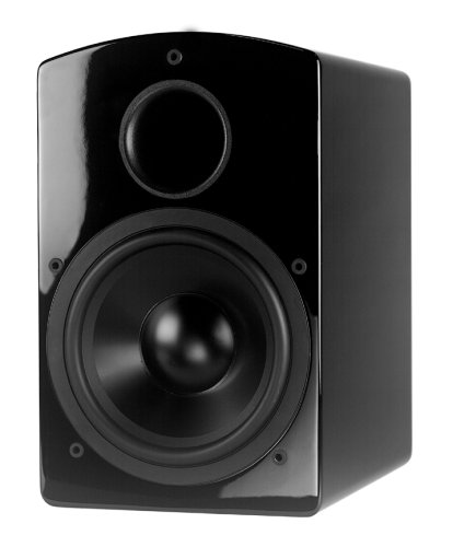 NHT N-10B Classic Ten Subwoofer (Black, Each)