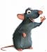 Ratte style your Crocs, nice mice Fun Clips