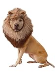 California Costume Collections Animal Planet Lion Dog Costume, Large