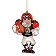 Cincinnati Bengals NFL Acrylic Football Player Ornament (3.5")