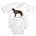 Onesie with spaniel, dog, water, dark, American, american