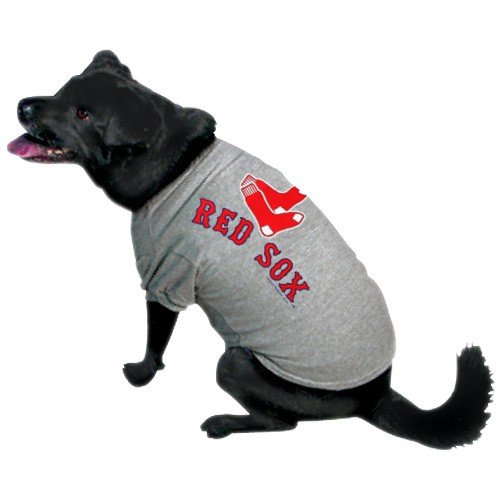 atlanta braves dog jersey