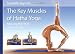Scientific Keys Volume I: The Key Muscles of Hatha Yoga